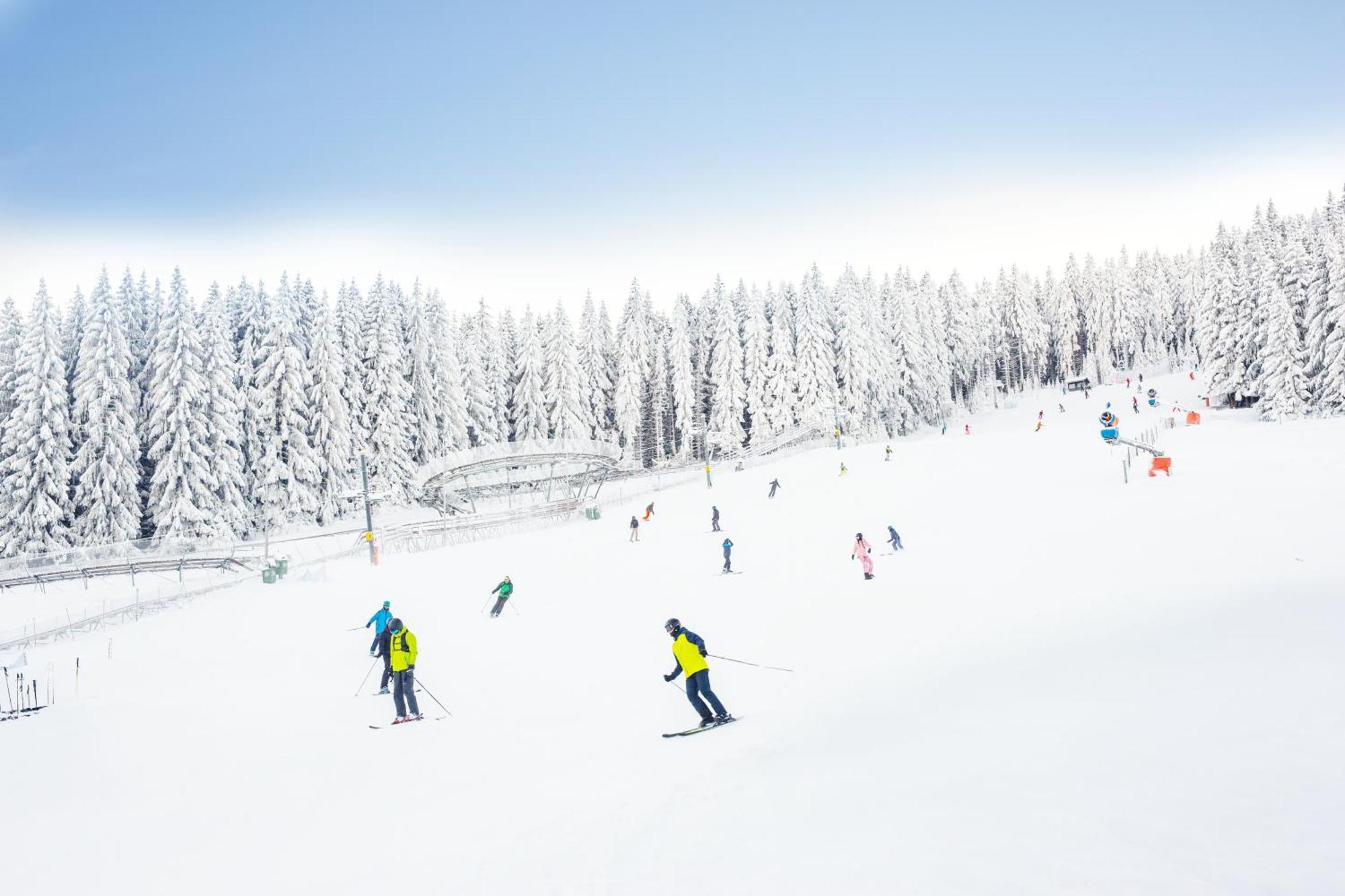 Panorama Ski, Bike, Spa & Restaurant - Czarna Gora Resort Stronie Śląskie Εξωτερικό φωτογραφία